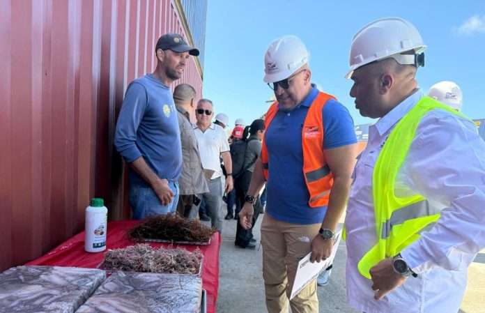 Venezuela concreta envío de algas marinas desde El Guamache